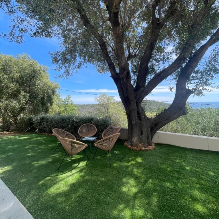 Location estivale 4 à 7 personnes Santa Giulia - Appartement 2 Chambres - Vue sur Mer - 2