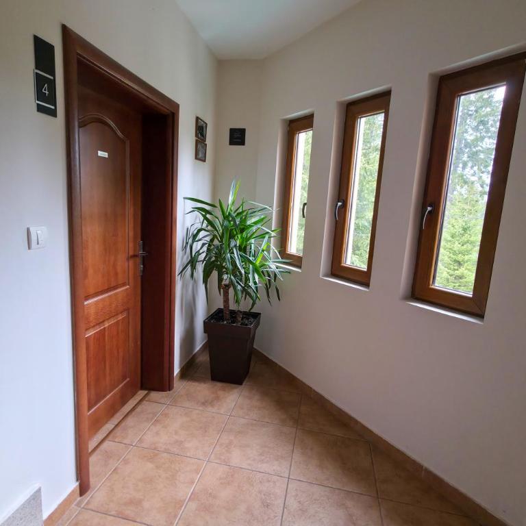 Apartmani Bijelic - Apartment with Terrace - 4