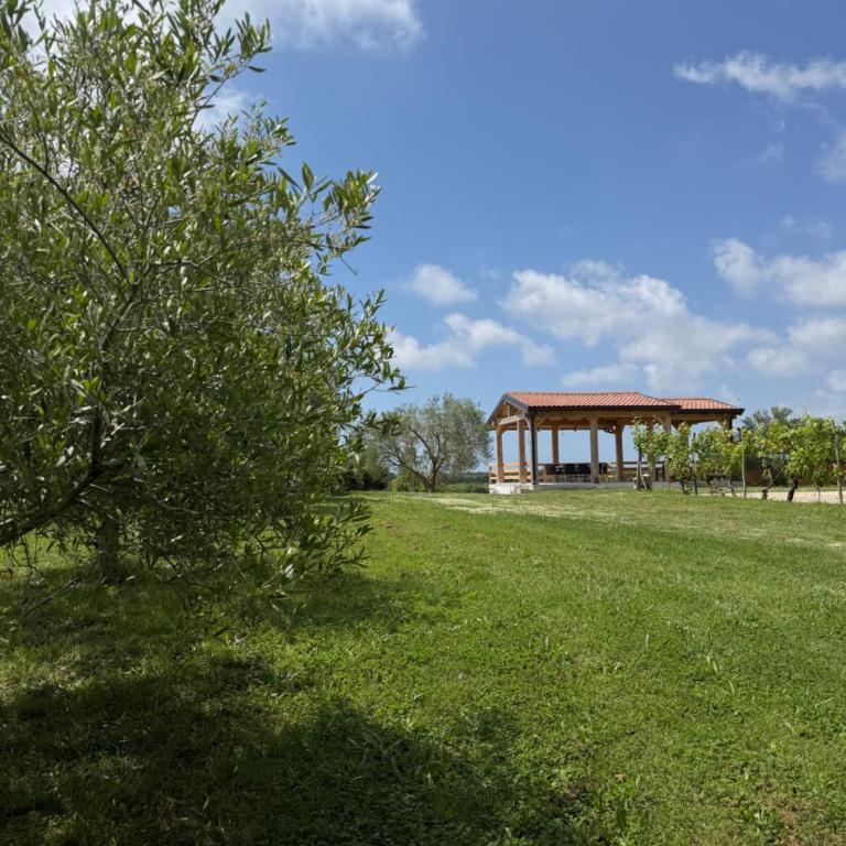 Bukuria e Fjerinës - One-Bedroom House - 7
