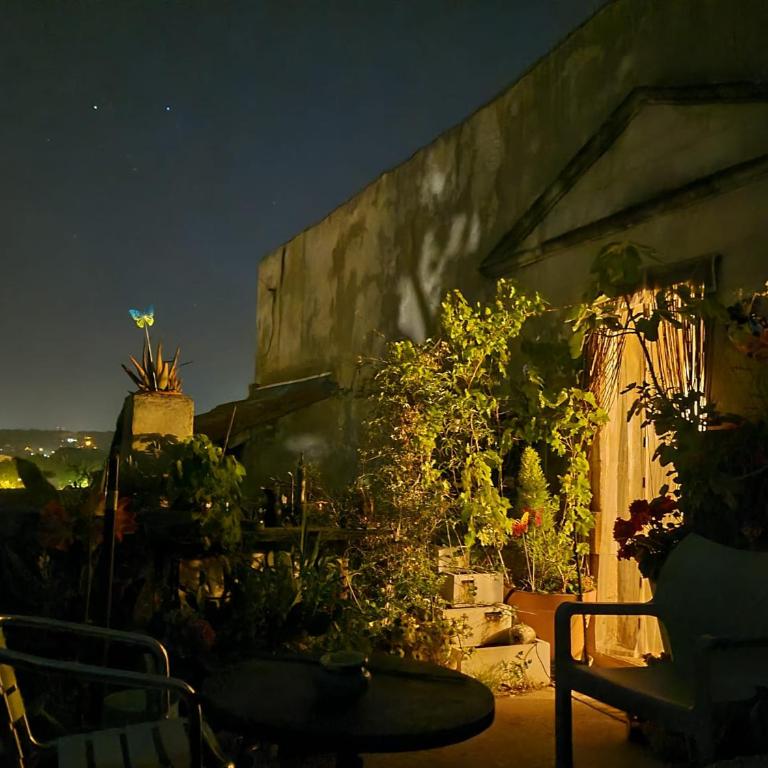 Un nid sur les toits face au palais des papes - Two-Bedroom Apartment - 41