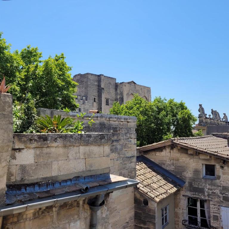 Un nid sur les toits face au palais des papes - Two-Bedroom Apartment - 42