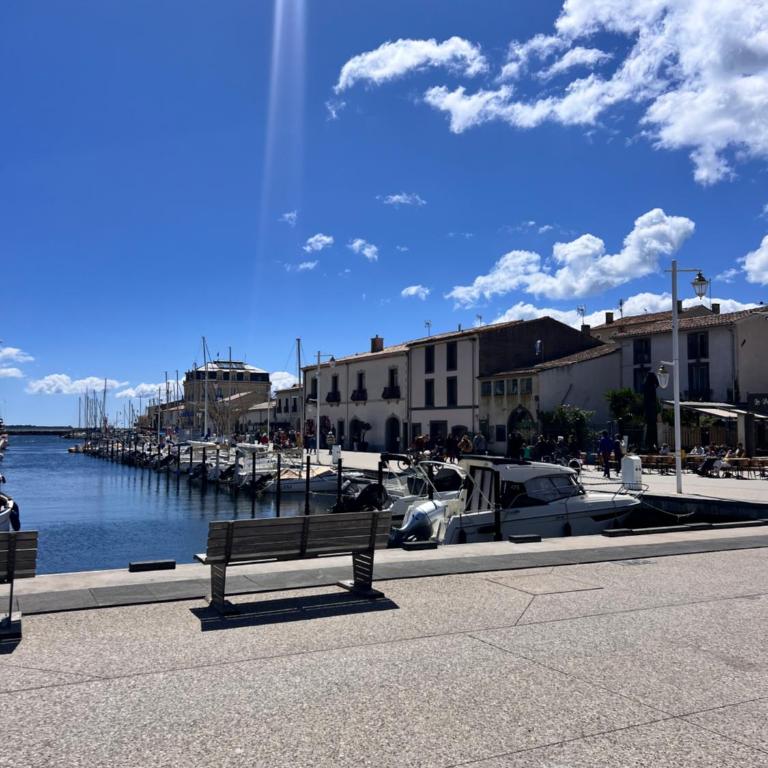 Entre port et plage - Appartement 1 Chambre - 21