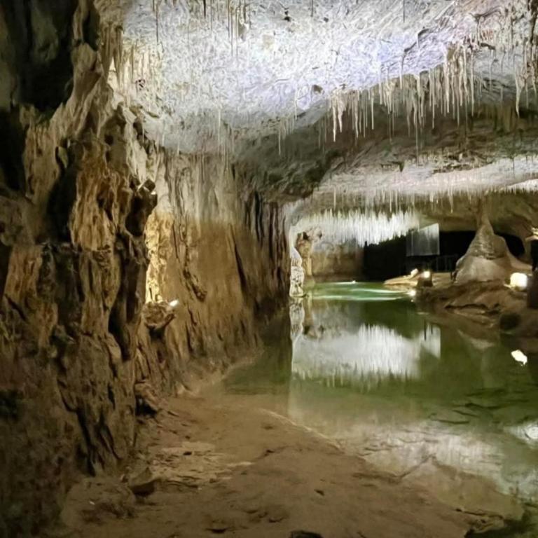 Vercors et Vous - Appartement 1 Chambre - 45