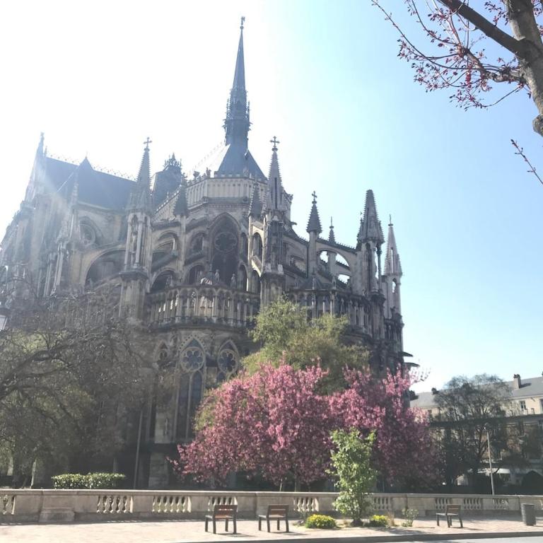 Reims Cathedral City center - One-Bedroom Apartment - 1
