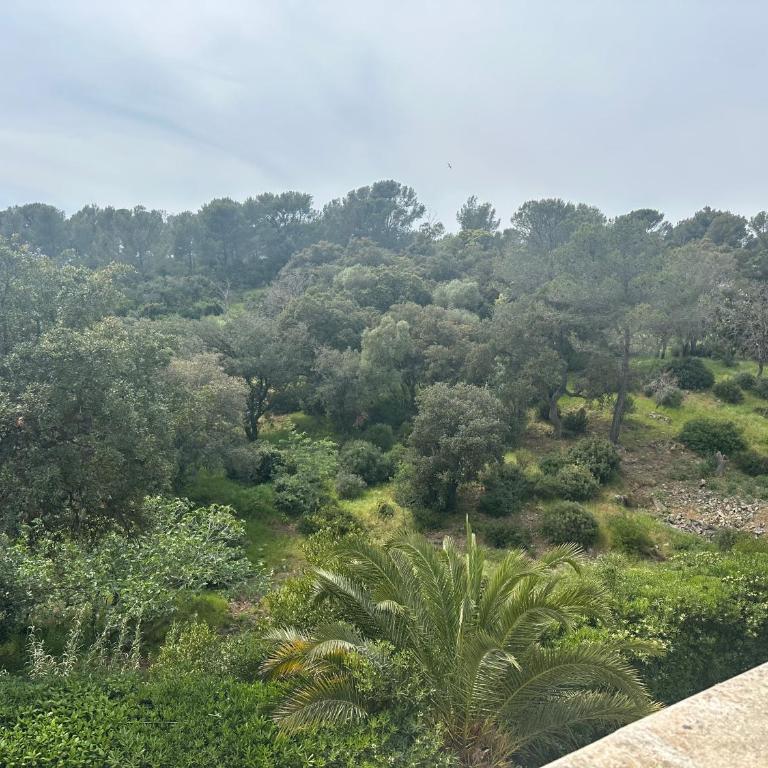 Dolce Farniente à 300m de la mer - Apartamento de 1 dormitorio - 12