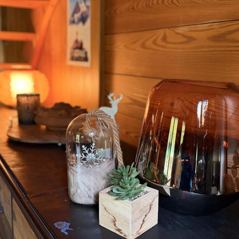 Chalet massif du Mont Blanc St Gervais les bains - Megeve - Chalet 2 Chambres - 9