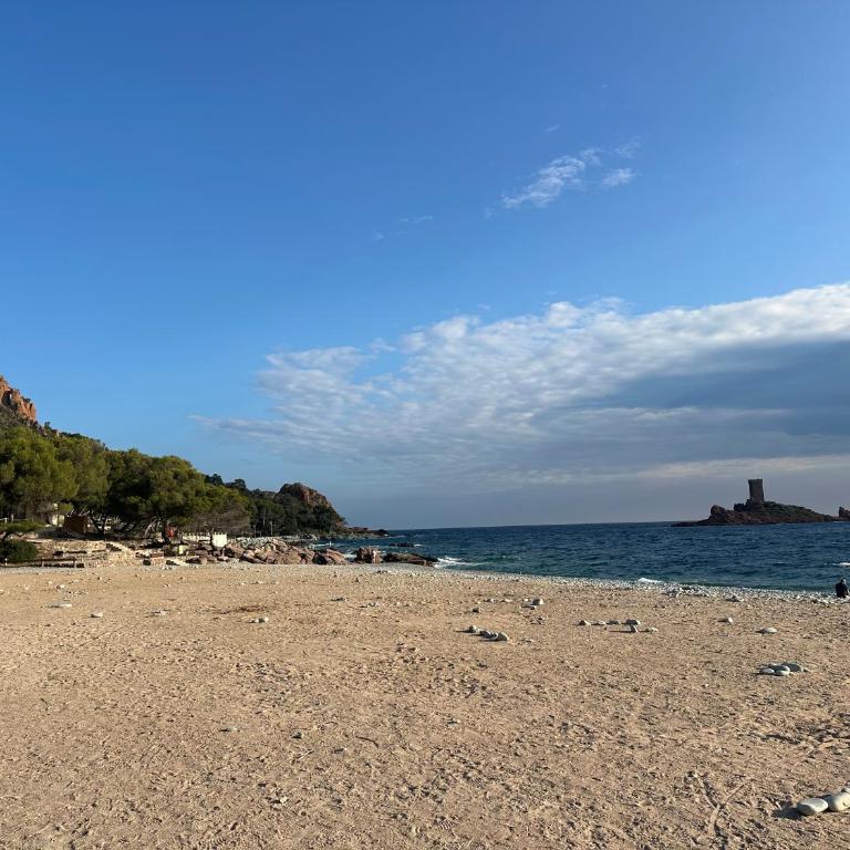 Dolce Farniente à 300m de la mer - Apartamento de 1 dormitorio - 10