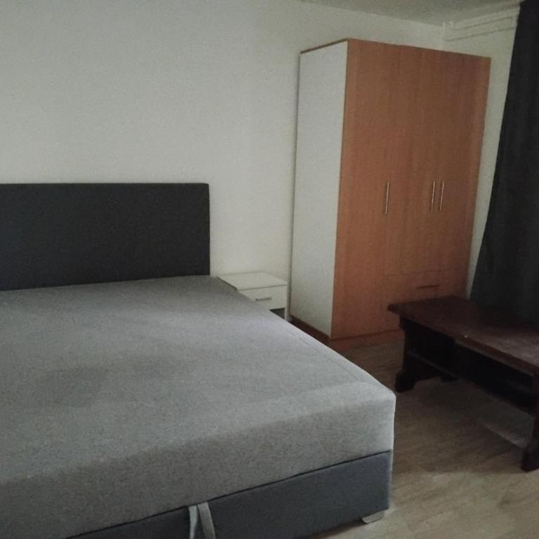 Stan na dan Beograd - Apartman sa 2 Spavaće Sobe - 4