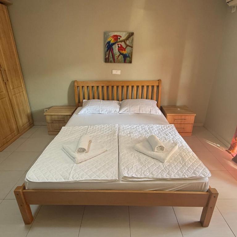 Adzic apartments 2 - Standard Studio - 22