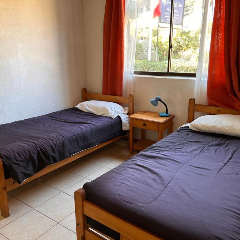 Departamentos Océano - Apartamento Estándar de 3 dormitorios - 4