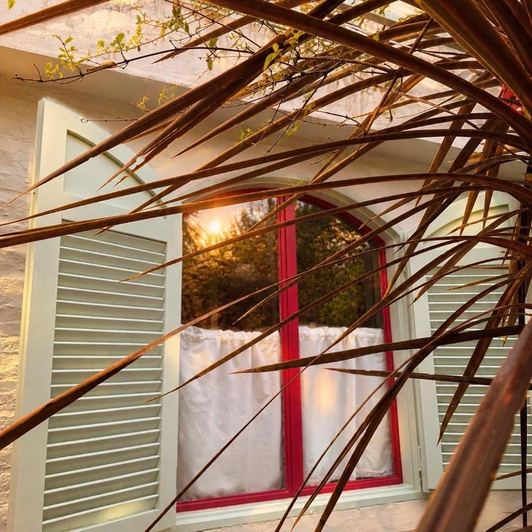 CASA MAIPÚ, acogedora y cerca de la Laguna, con pileta - Casa de 2 dormitorios - 13