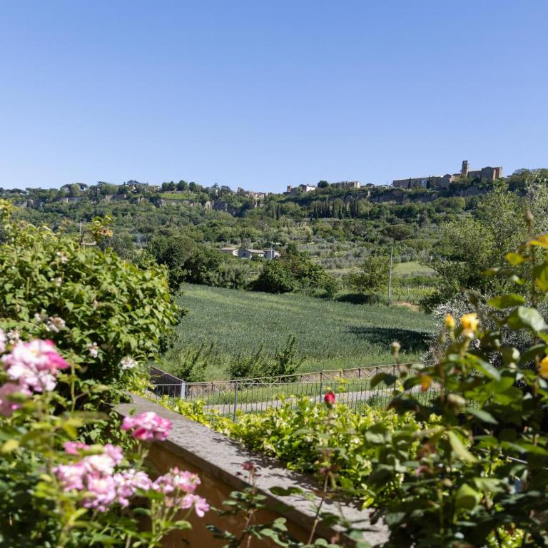 Casa Angolo delle Rose - Appartamento con Vista Giardino - 4