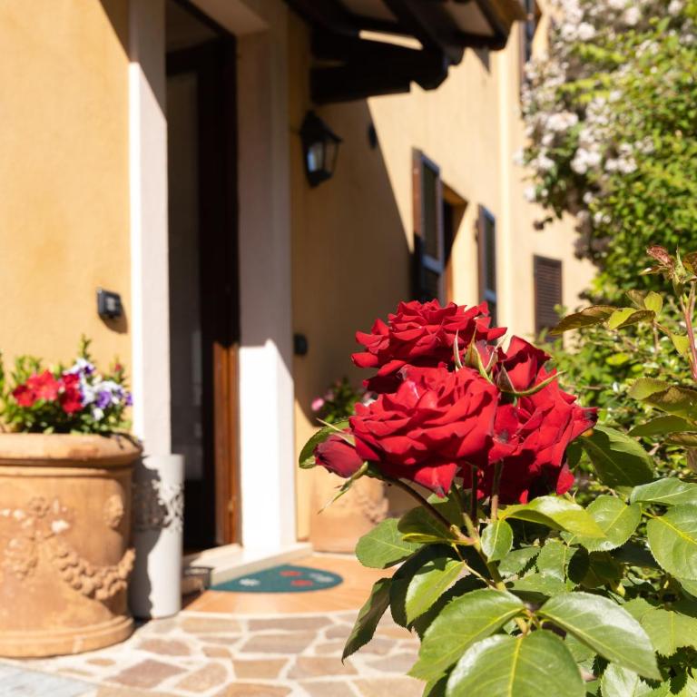 Casa Angolo delle Rose - Appartamento con Vista Giardino - 7