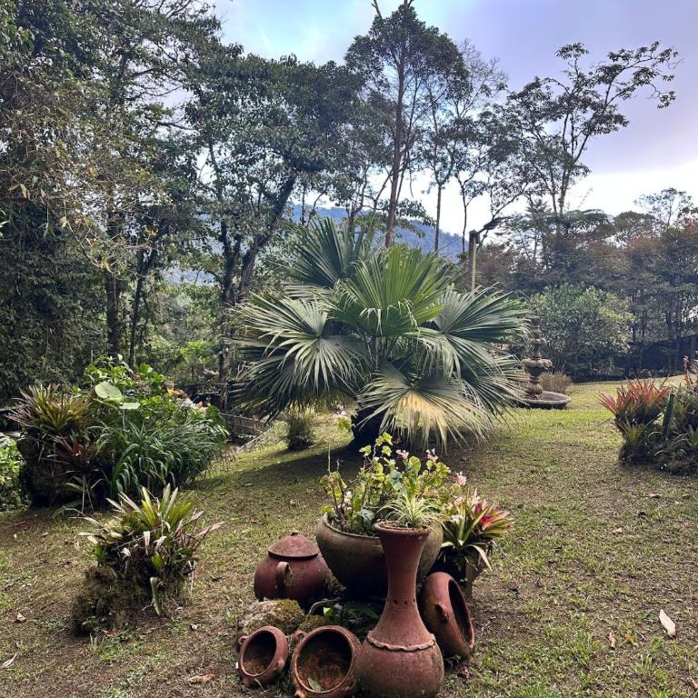 Maheva Birding - House in the Dapa Forest - Casa de 4 dormitorios - 18