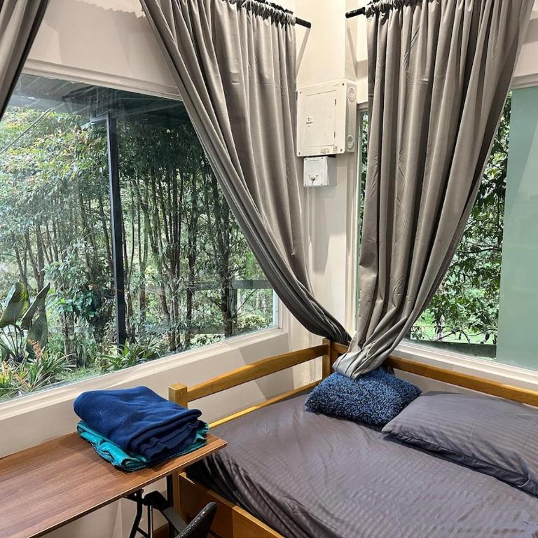 Maheva Birding - House in the Dapa Forest - Casa de 4 dormitorios - 38