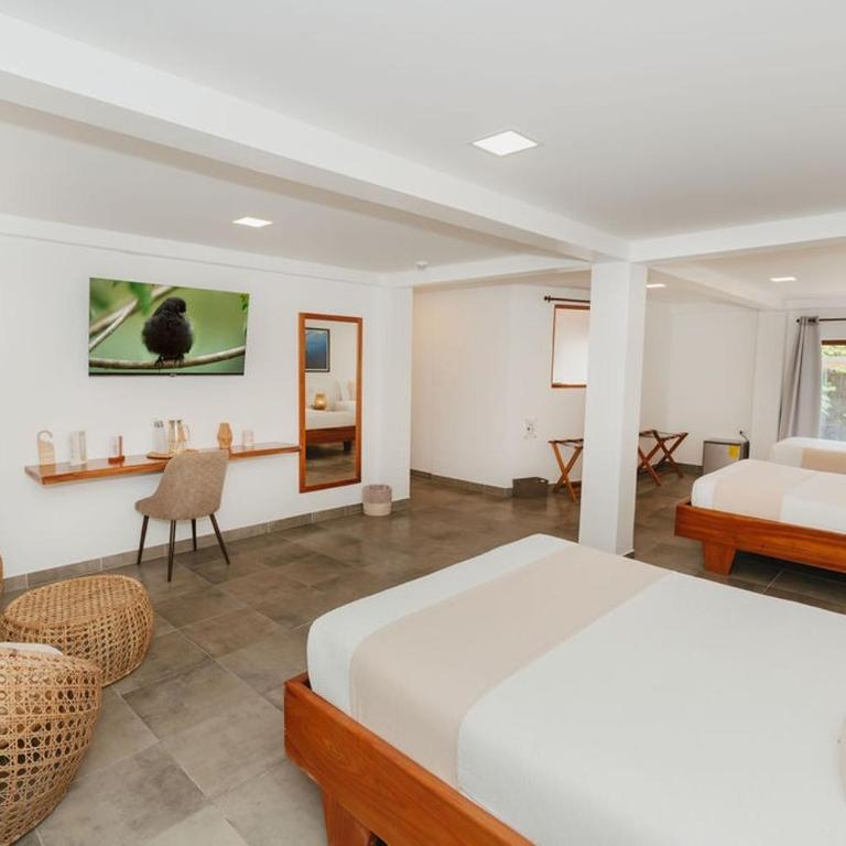El Barranco Galapagos - Standard Family Room - 2
