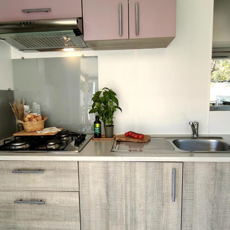 De Pujol Greenchalets Argeles sur Mer - Chalet 3 Chambres - 13