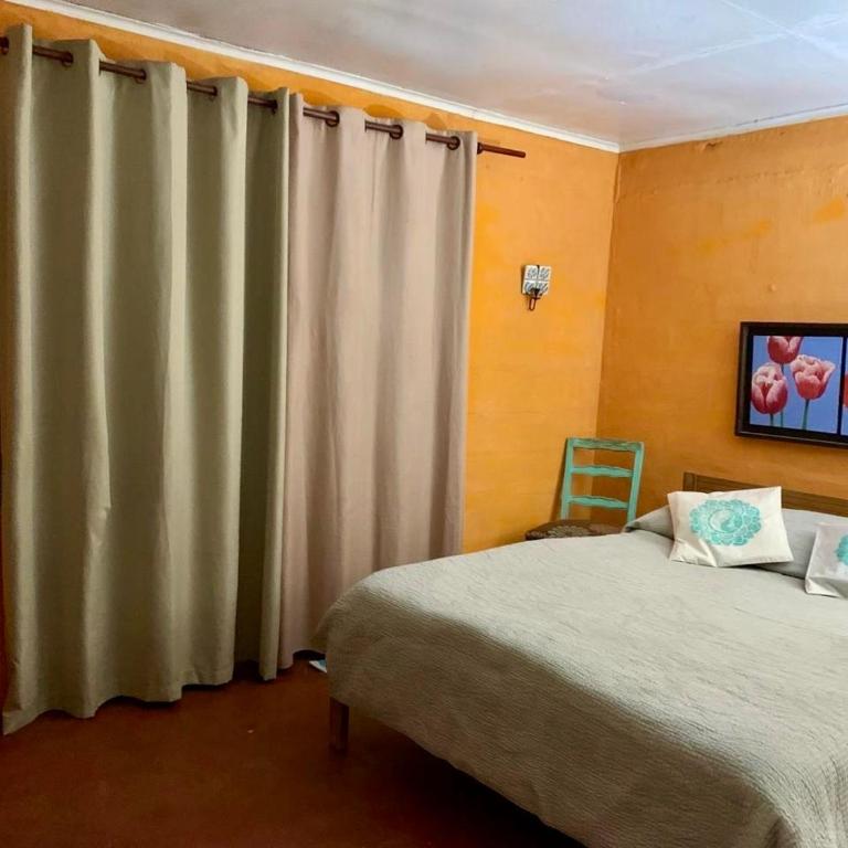 Casa cerca de Ovalle o Punitaqui con árboles y patio - Two-Bedroom House - 4