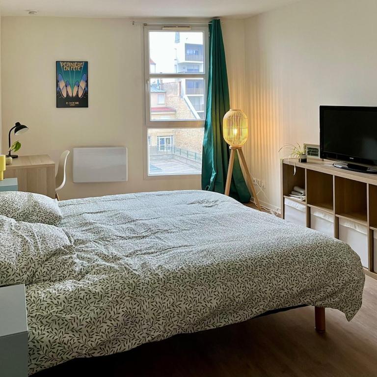 Appartement cosy au cœur de Nancy - Appartamento con 1 Camera da Letto - 1
