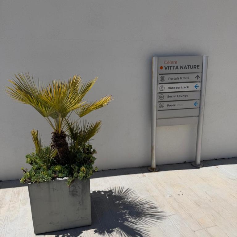 Palm Forest Oasis - Apartamento de 2 dormitorios - 28