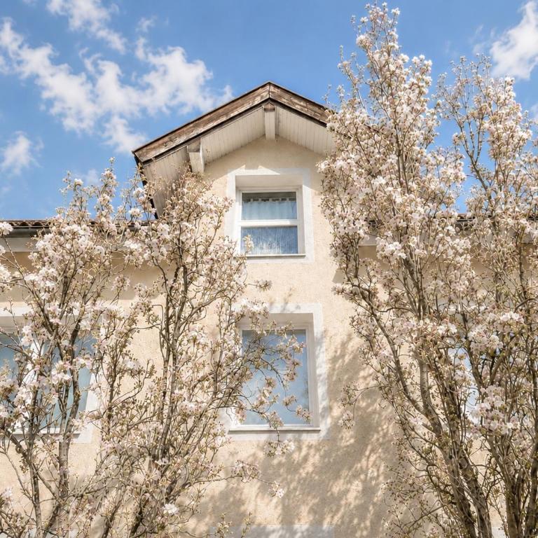 Haus OS - Apartment - 16