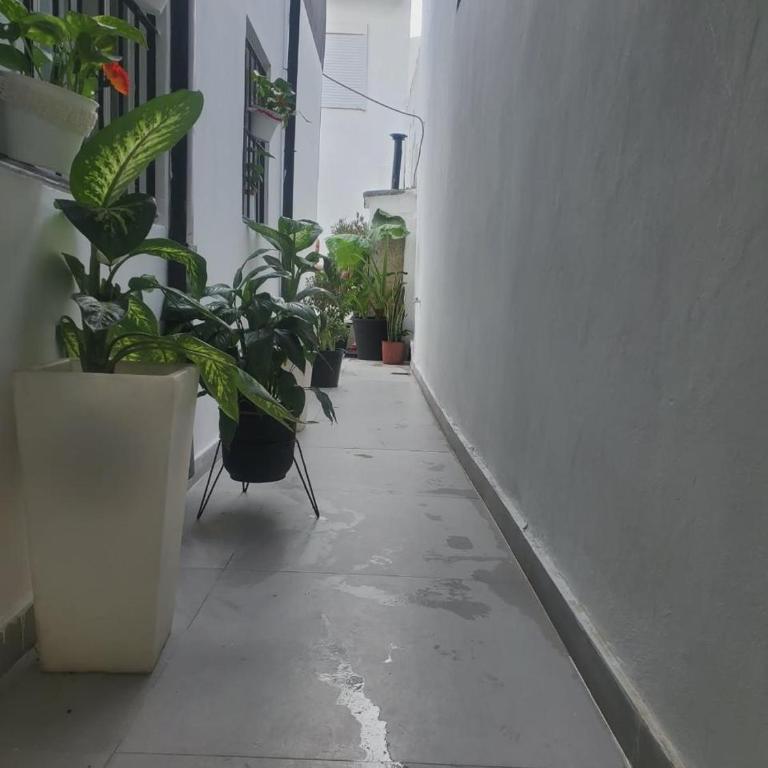 San Martín Apartment - Apartamento de 3 dormitorios con balcón - 35