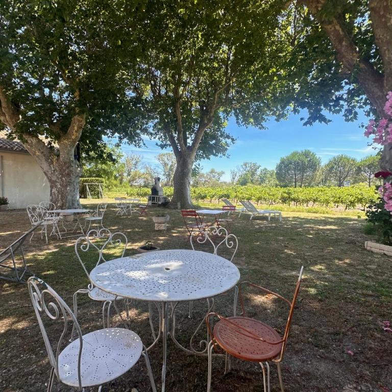 Gîte de la Cave Charme provençal avec jardin à Aigues-Mortes - Appartamento - 5