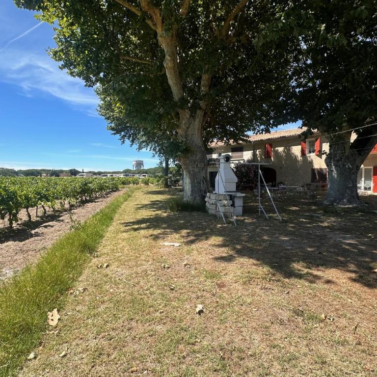 Gîte de la Cave Charme provençal avec jardin à Aigues-Mortes - Appartamento - 13