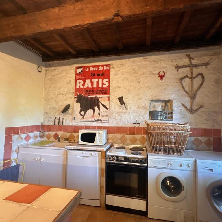 Gîte de la Cave Charme provençal avec jardin à Aigues-Mortes - Appartamento - 23