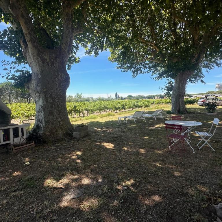 Gîte de la Cave Charme provençal avec jardin à Aigues-Mortes - Appartamento - 27