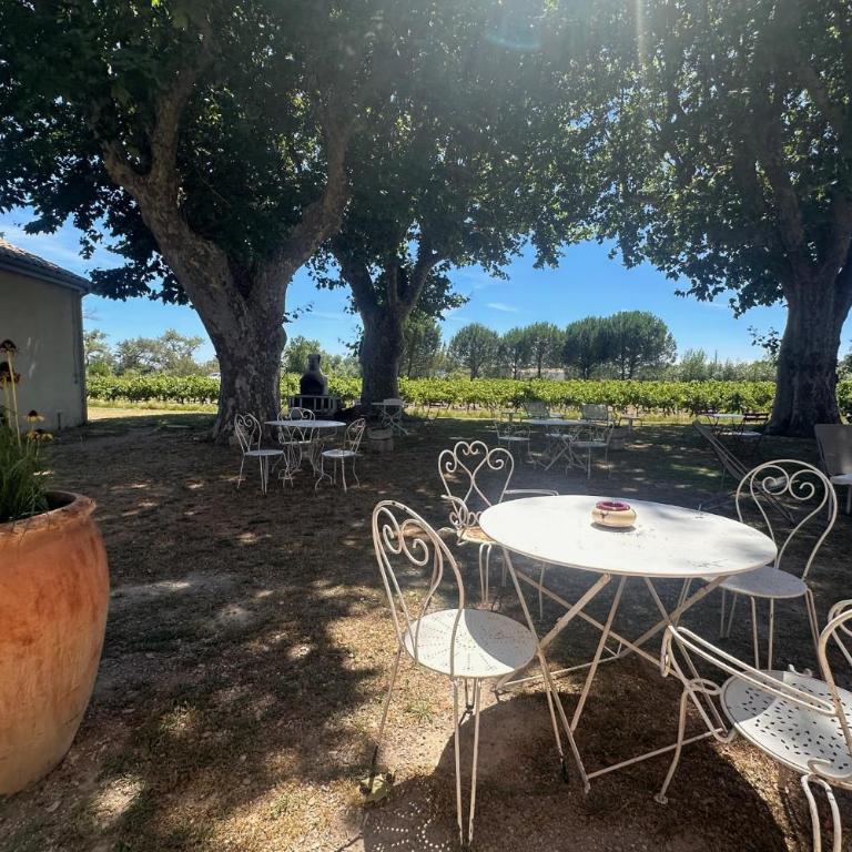 Gîte de la Cave Charme provençal avec jardin à Aigues-Mortes - Appartamento - 29