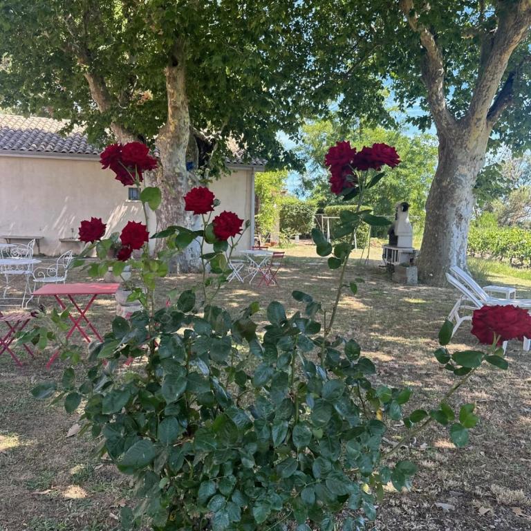 Gîte de la Cave Charme provençal avec jardin à Aigues-Mortes - Appartamento - 32
