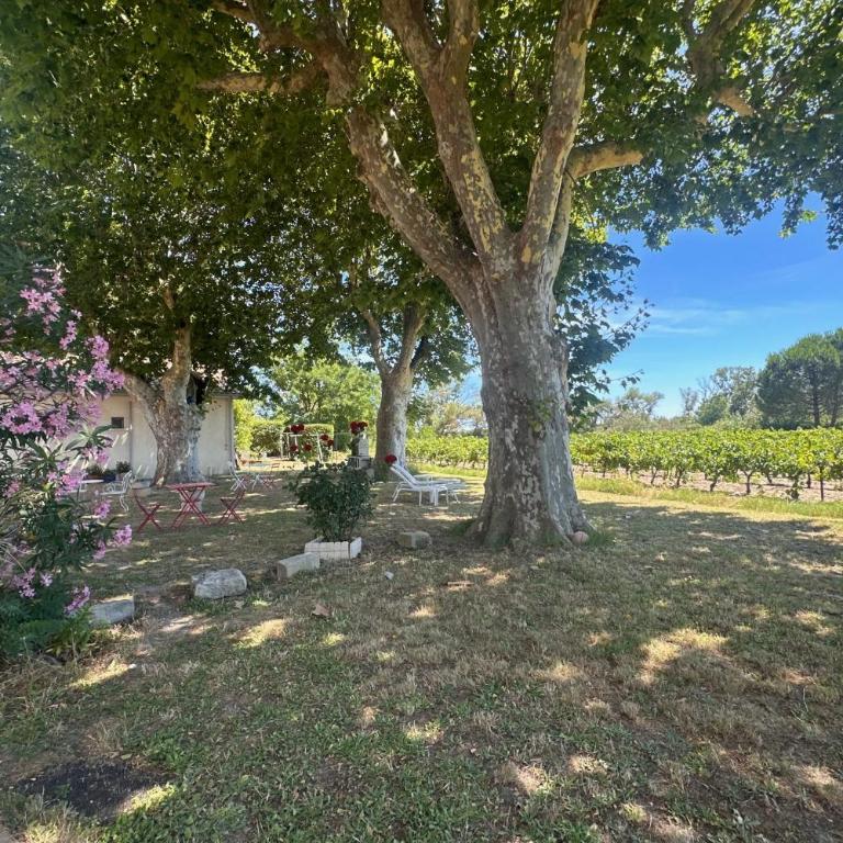 Gîte de la Cave Charme provençal avec jardin à Aigues-Mortes - Appartamento - 34