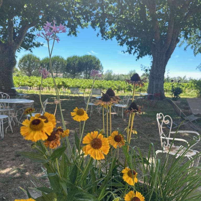 Gîte de la Cave Charme provençal avec jardin à Aigues-Mortes - Appartamento - 39