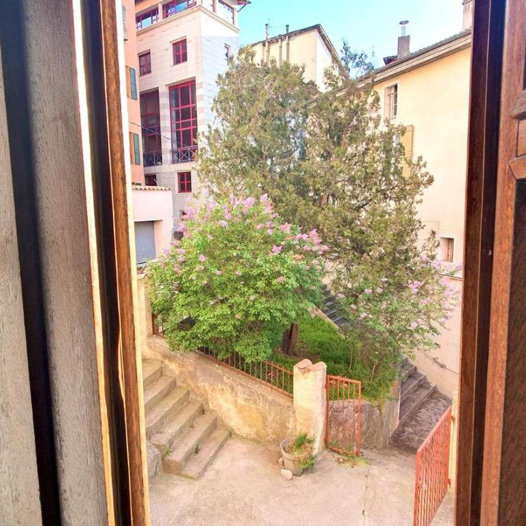 Le Petit Gassendi T2 3 étoiles plein centre clim - Appartement 1 Chambre - 2