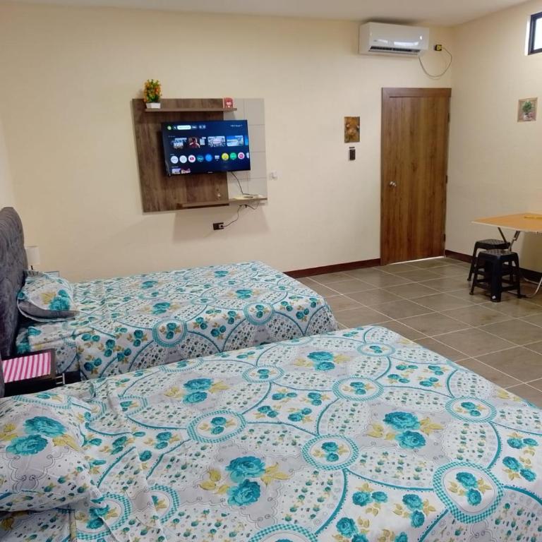 Home Albatros Galápagos - Quadruple Room - 1