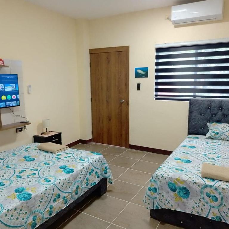 Home Albatros Galápagos - Quadruple Room - 2
