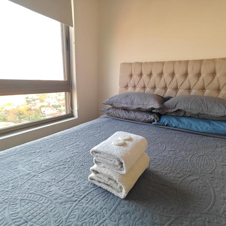 Amplio Departamento 1 dormitorio más sofá cama ideal para Movistar Arena bien conectado - One-Bedroom Apartment - 13