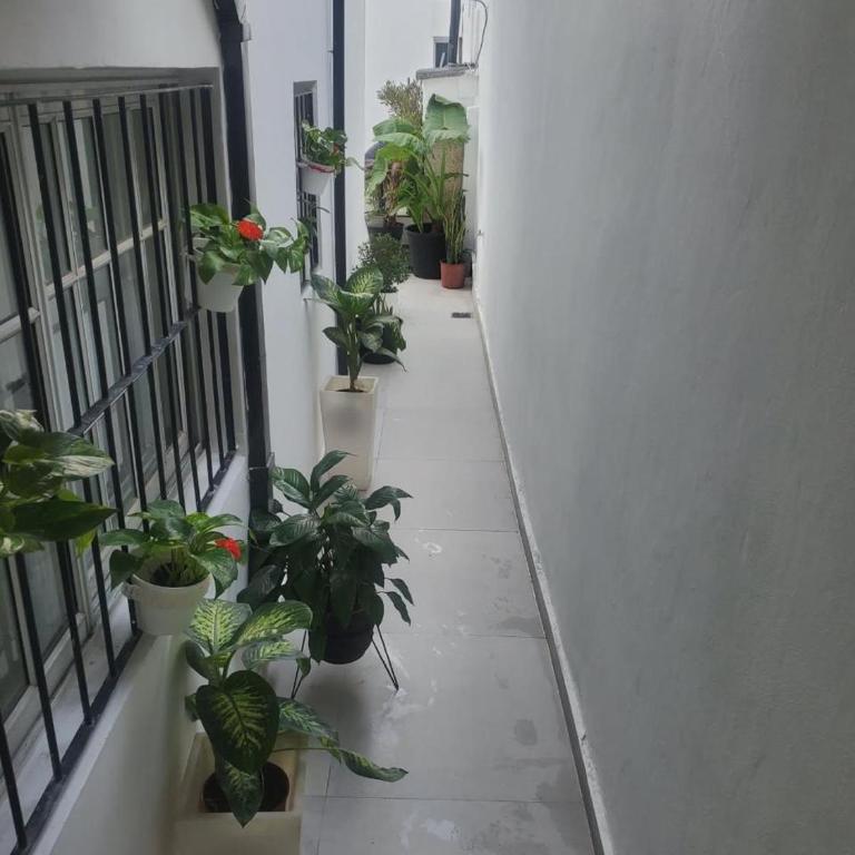 San Martín Apartment - Apartamento de 3 dormitorios con balcón - 14