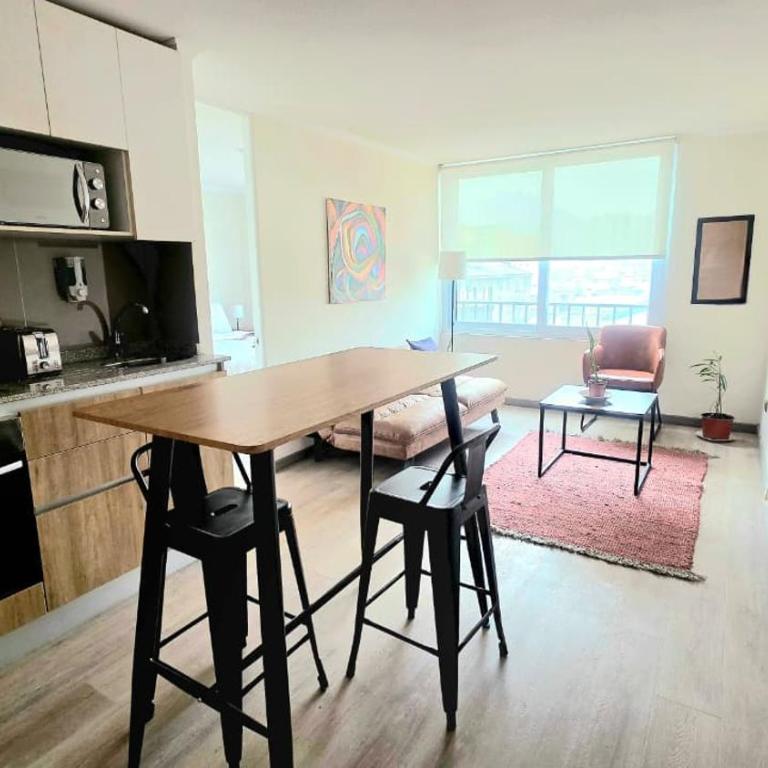 Santiago Turistico inmejorable ubicación - Apartamento de 1 dormitorio - 9
