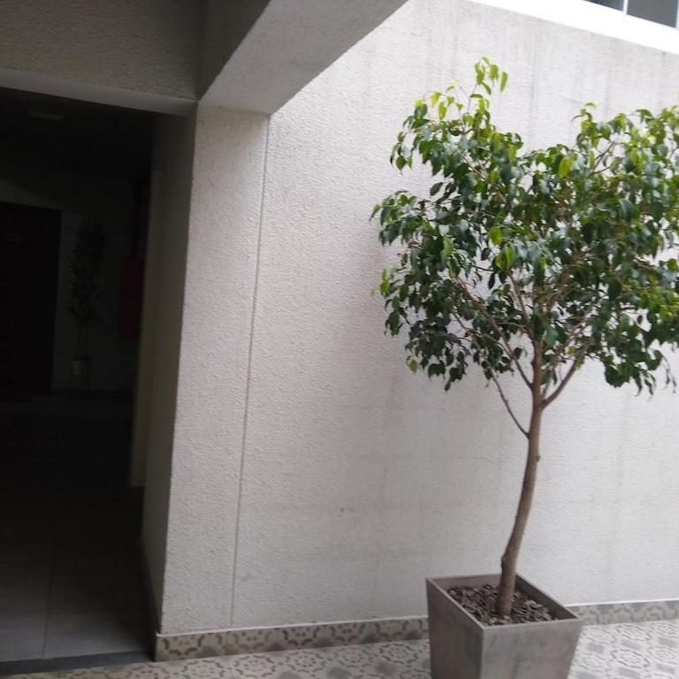 Departamento Céntrico en Beaterio de 3 Dormitorios Sala con Balcon Seguridad 24 7 - Three-Bedroom Apartment - 37