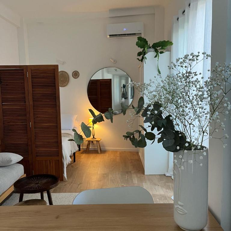 Charmant T1 en centre-ville de Juan Les Pins - Appartement 1 Chambre - 29