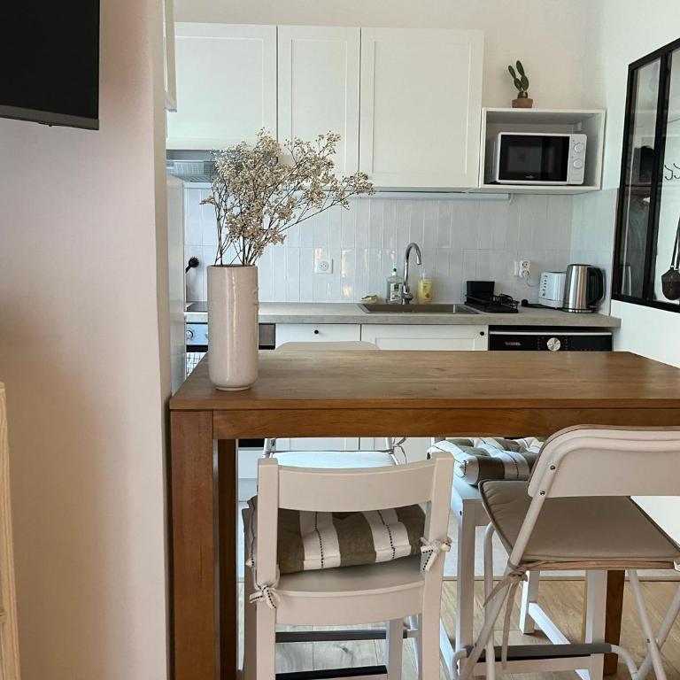 Charmant T1 en centre-ville de Juan Les Pins - Appartement 1 Chambre - 20