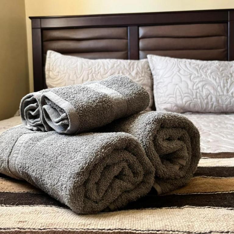 Vicuña sunset - Apartamento de 1 dormitorio - 6