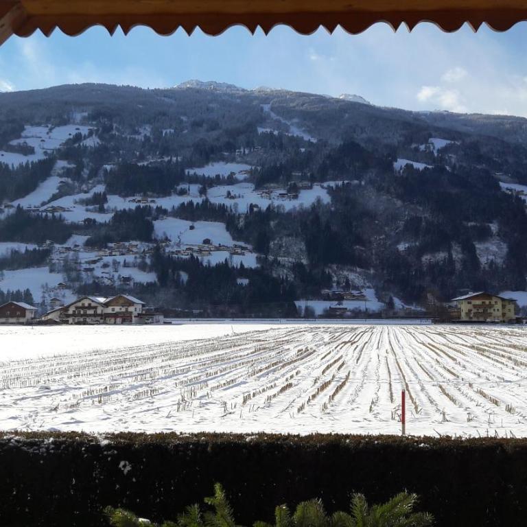FEWO "Unterm Wald" - Apartment - Erdgeschoss - 34