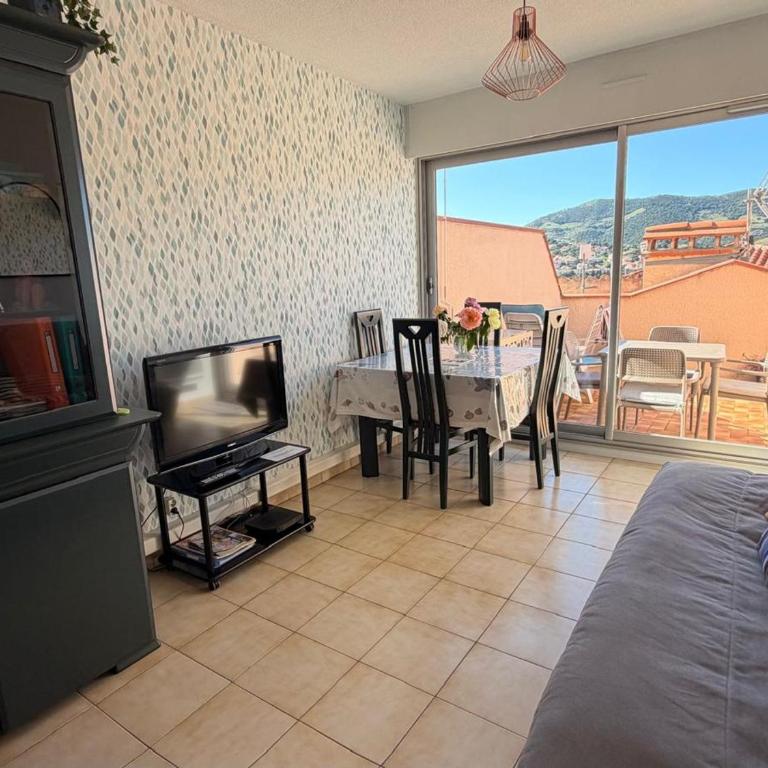 BANYULS-SUR-MER, studio avec terrasse, proche plage - FR-1-309-323 - Studio - 2