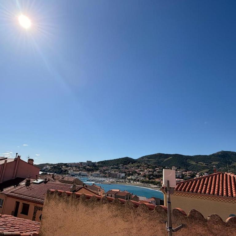 BANYULS-SUR-MER, studio avec terrasse, proche plage - FR-1-309-323 - Studio - 3
