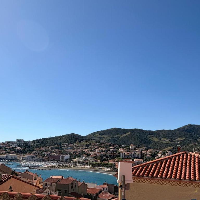 BANYULS-SUR-MER, studio avec terrasse, proche plage - FR-1-309-323 - Studio - 4