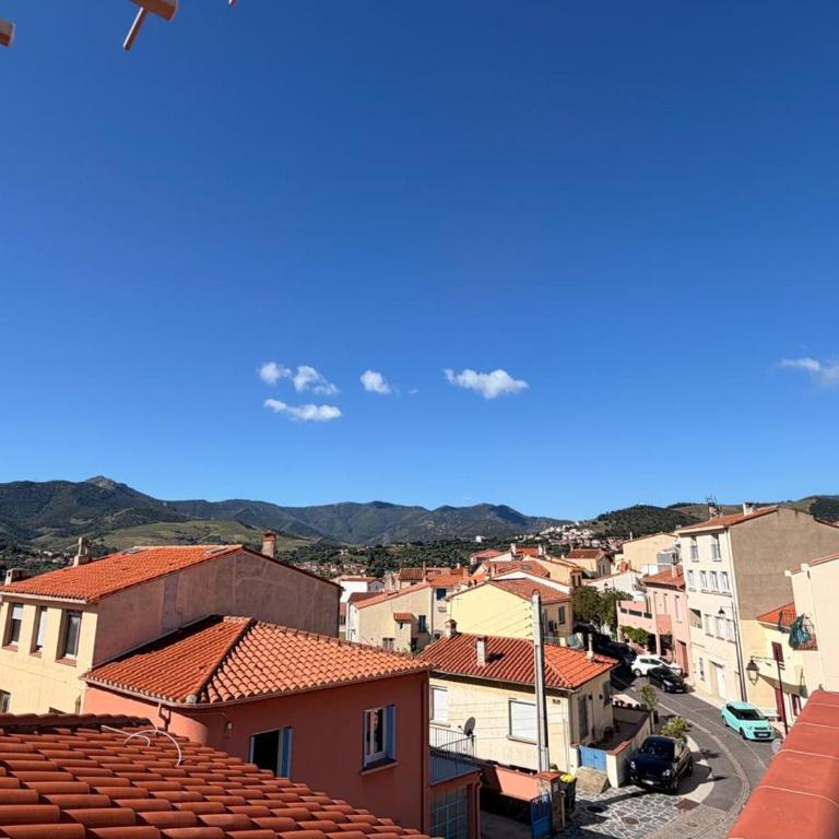 BANYULS-SUR-MER, studio avec terrasse, proche plage - FR-1-309-323 - Studio - 5