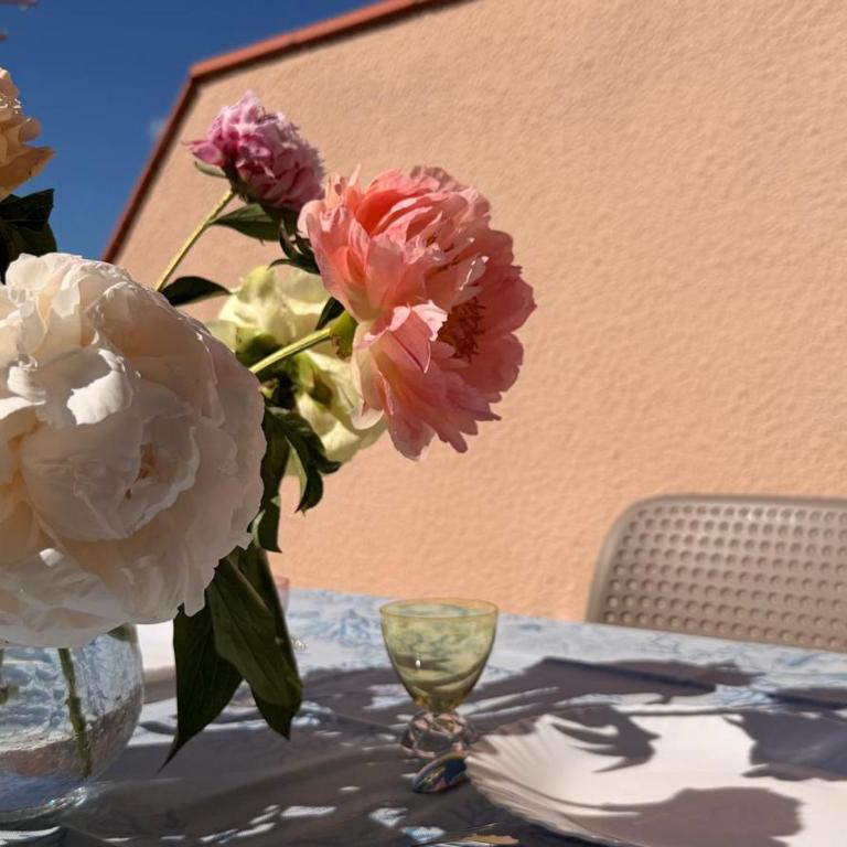 BANYULS-SUR-MER, studio avec terrasse, proche plage - FR-1-309-323 - Studio - 6